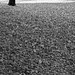 Crunchy carpet