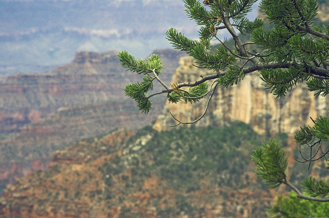 On the Rim