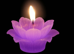 a candle in the night ✨️