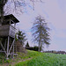 Huusersee Jägerstand / Wildschweine, nehmt euch in acht!