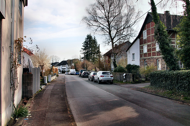 Strangstraße (Schwerte-Wandhofen) / 9.03.2024