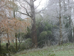 Gel dans la campagne