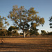 Fitzroy River Lodge