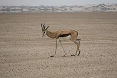Namibia-0414