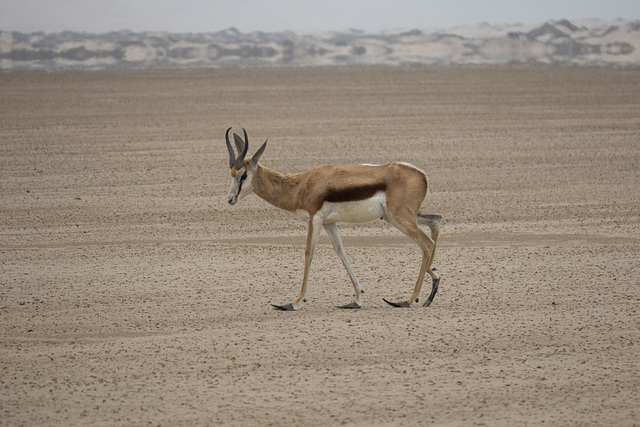 Namibia-0414