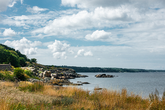20220808- DSC8359