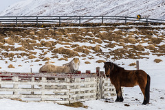 Hliðarétt Hliðarétt