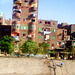 Casas en Egipto (PiP-7/8)