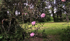 At Jim Curry Reserve.