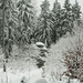 Schneefelsen Schneefelsen