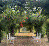 white symmetry with a splash of red