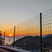 Sunset Fence - HFF