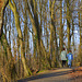 Forest Walk