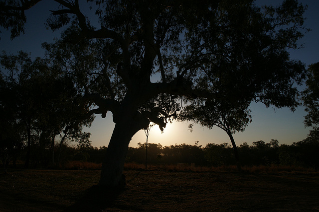 Sunset On The Fitzroy River