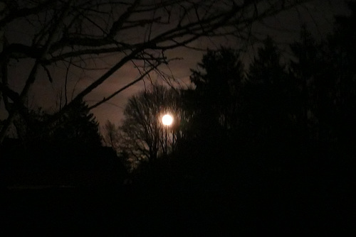 "Et pourquoi dîtes-vous que je suis dans la lune ?"