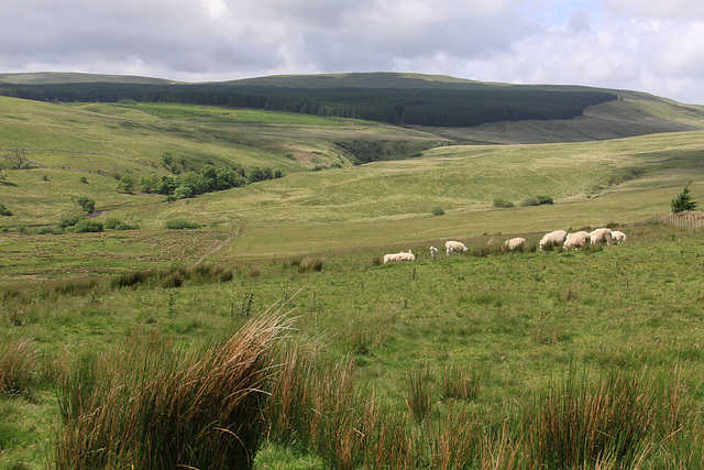 Sarn Helen Roman Road