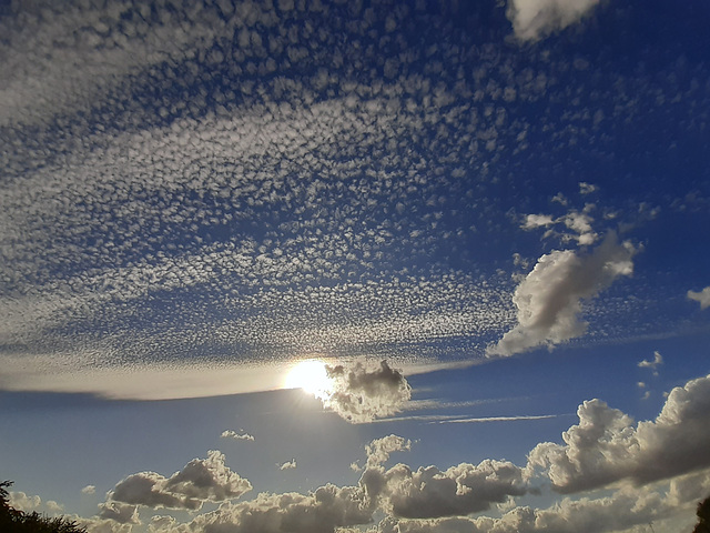 Le ciel nous parle