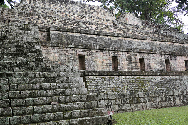 Steps and niches