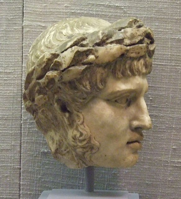 Marble Head from an Imperial Relief in the Princeton University Art Museum, July 2011