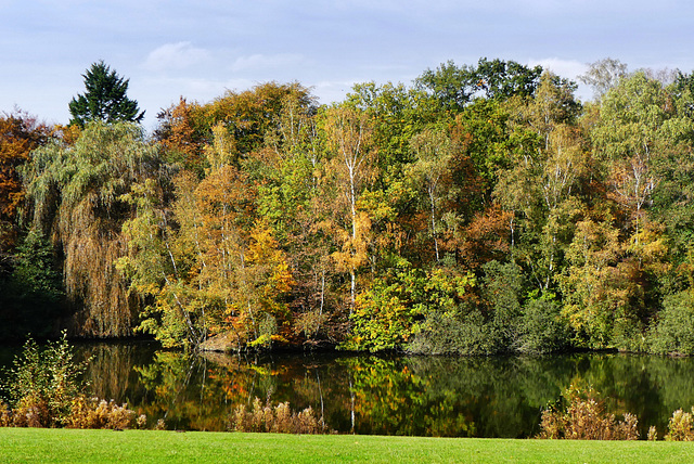 Herbstfarben - Colours of Autumn (PiP)