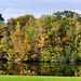 Herbstfarben - Colours of Autumn (PiP)