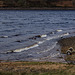 Waves on Torside Reservoir