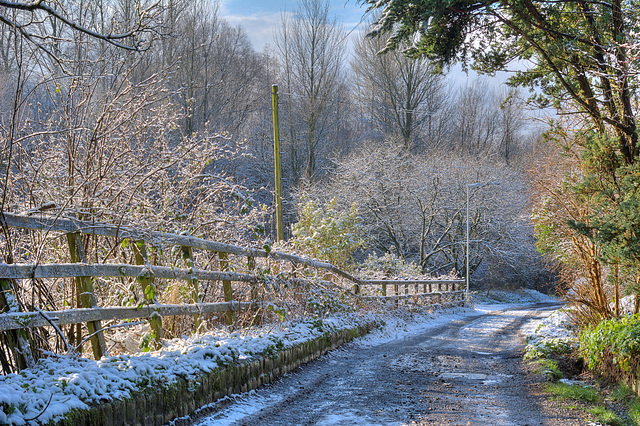 A winter walk fence