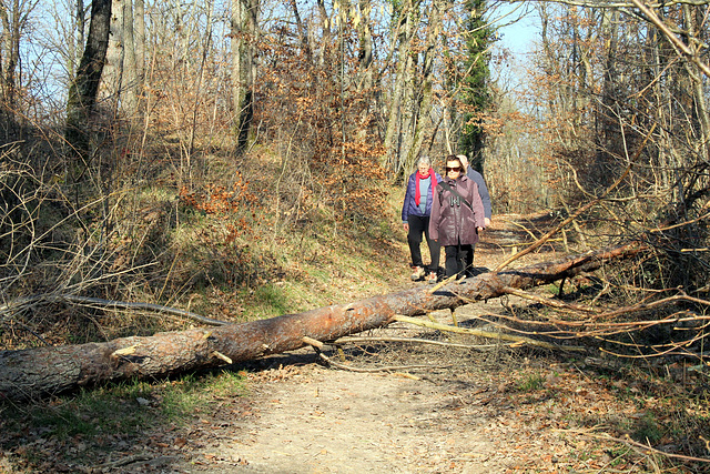 Visite ENS de la plaine de Sorques - 13/02/2023