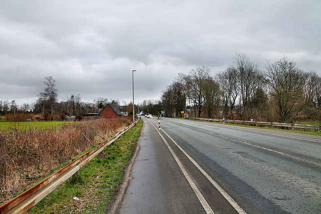 Hammer Straße (Lünen-Beckinghausen) / 4.03.2023