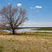 Floodplain of Malheur Lake