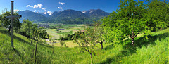 Röns Österreich
