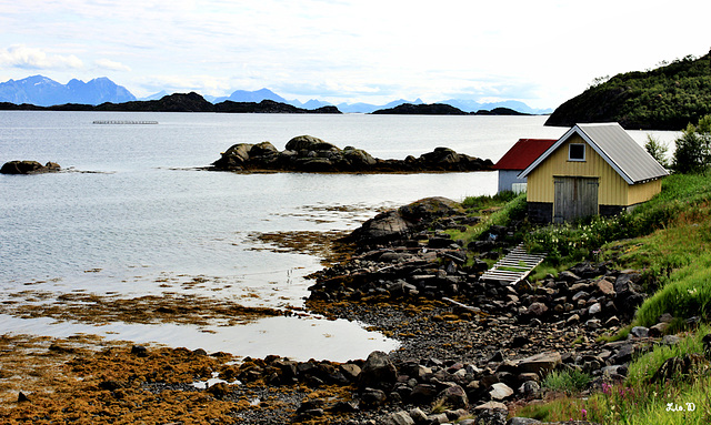 un bout du monde aux  Lofoten