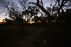 Fitzroy River Lodge At Dusk