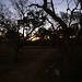 Fitzroy River Lodge At Dusk