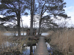 Blairs Loch Hide