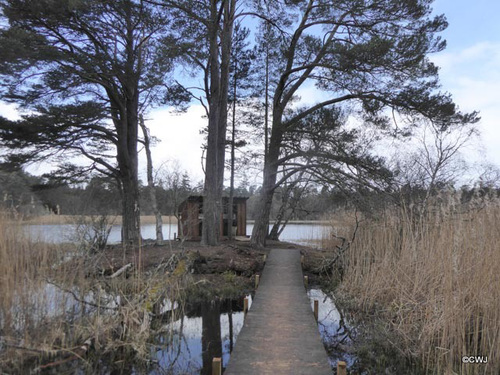 Blairs Loch Hide