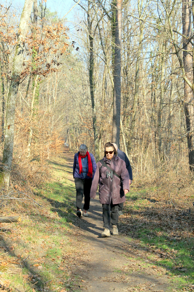 Visite ENS de la plaine de Sorques - 13/02/2023