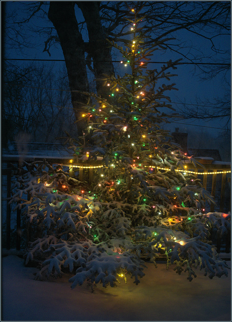 Wintry winds do blow