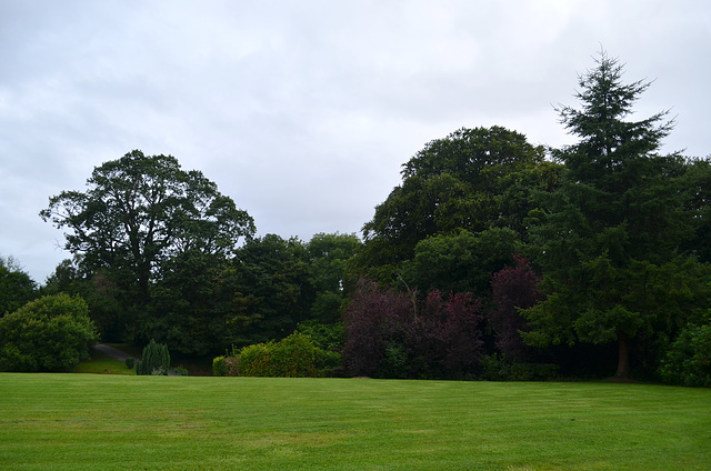 Beech Hill Country House, The Lawn in the Park