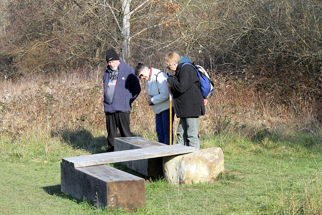 Visite ENS de la plaine de Sorques - 13/02/2023