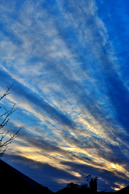 Early evening sky