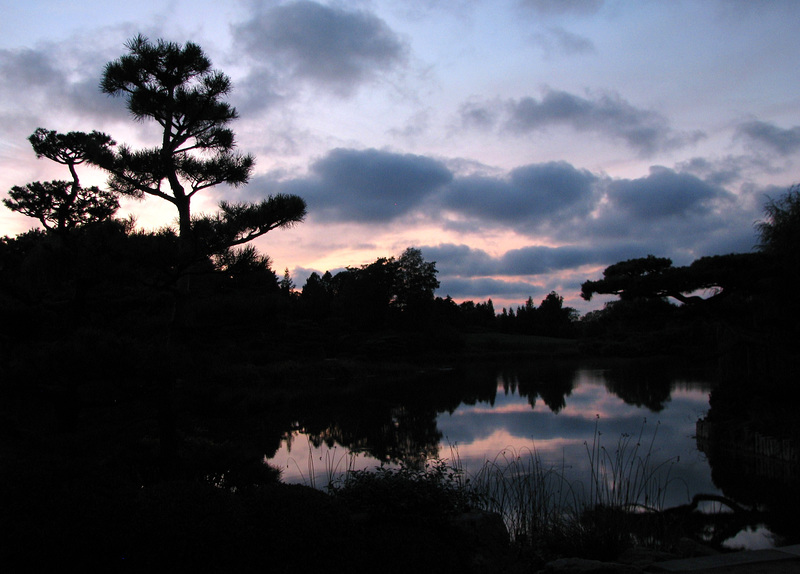 Sunset Silhouettes