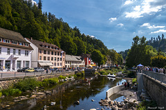 Bei St Blasien im Schwarzwald