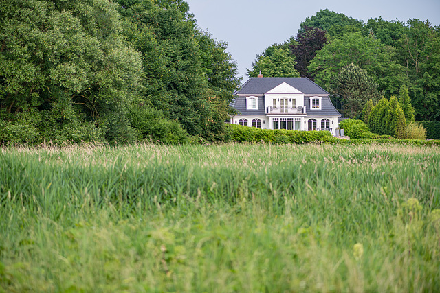 Home in the meadow