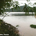 17 Chagres River Edge