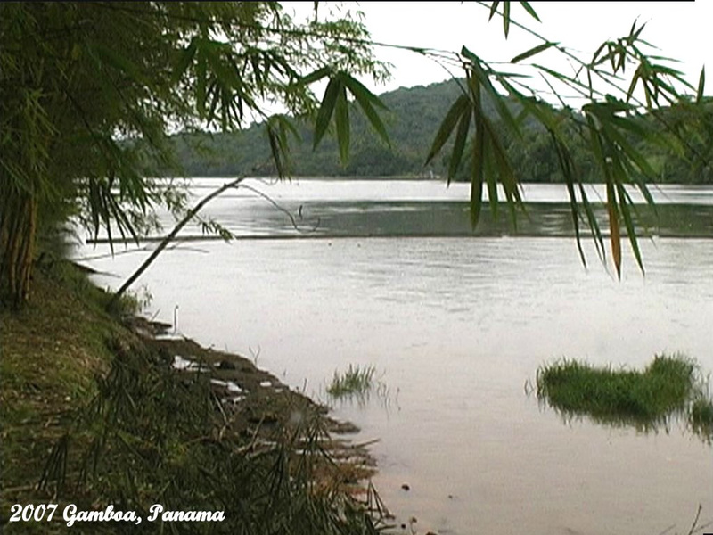 17 Chagres River Edge