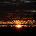 This Mornings Sunrise