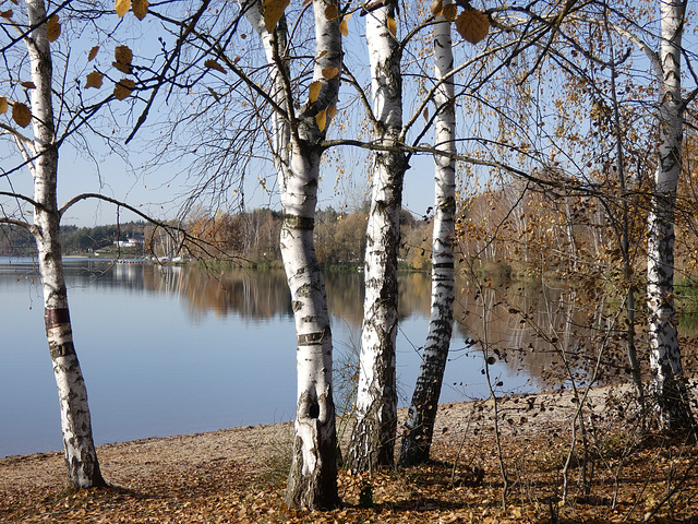 am Steinberger See