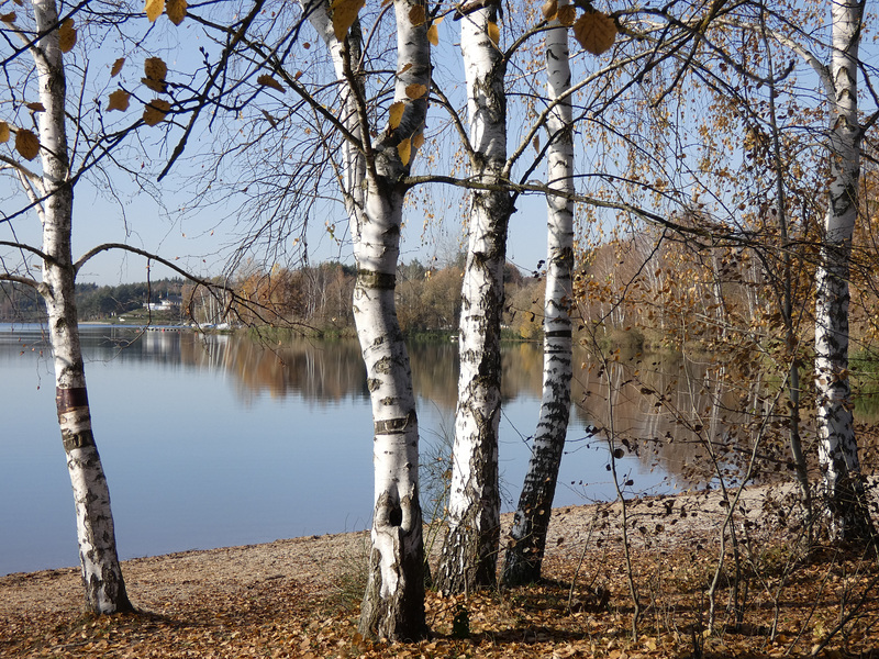 am Steinberger See