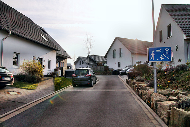 Schlossweg (Schwerte-Wandhofen) / 9.03.2024